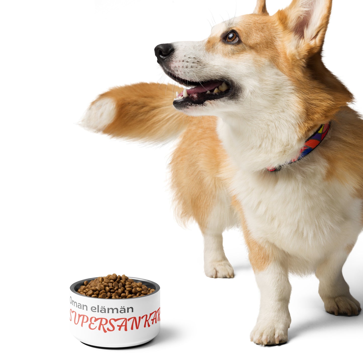 "Superhero 2.0" dog food bowl