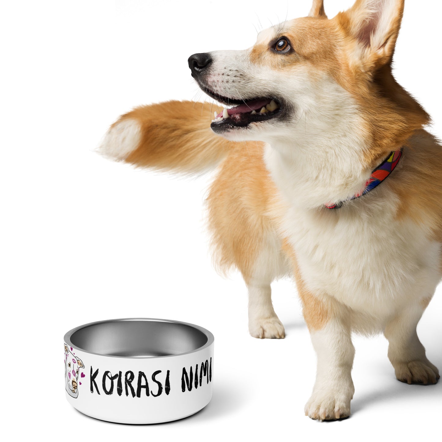Food cup with your dog's name