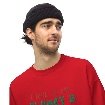 "No planet b" men's hooded sweatshirt