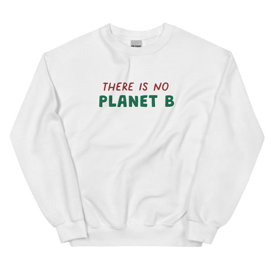„No Planet B“ Herren-Kapuzenpullover