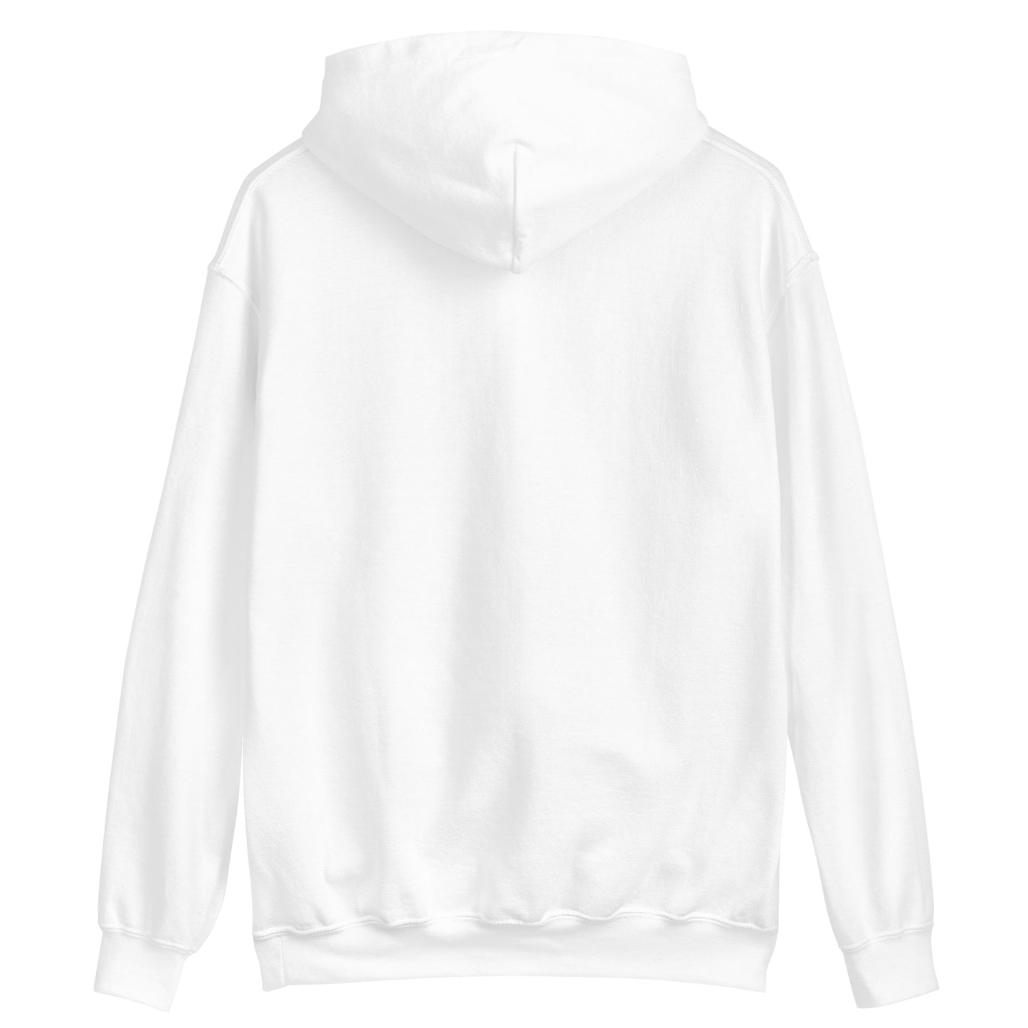 "Arctic Beauty" hoodie (small logo on the chest)