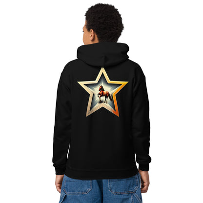 "Star and horse" hoodie for children and young people (Instagram wish)